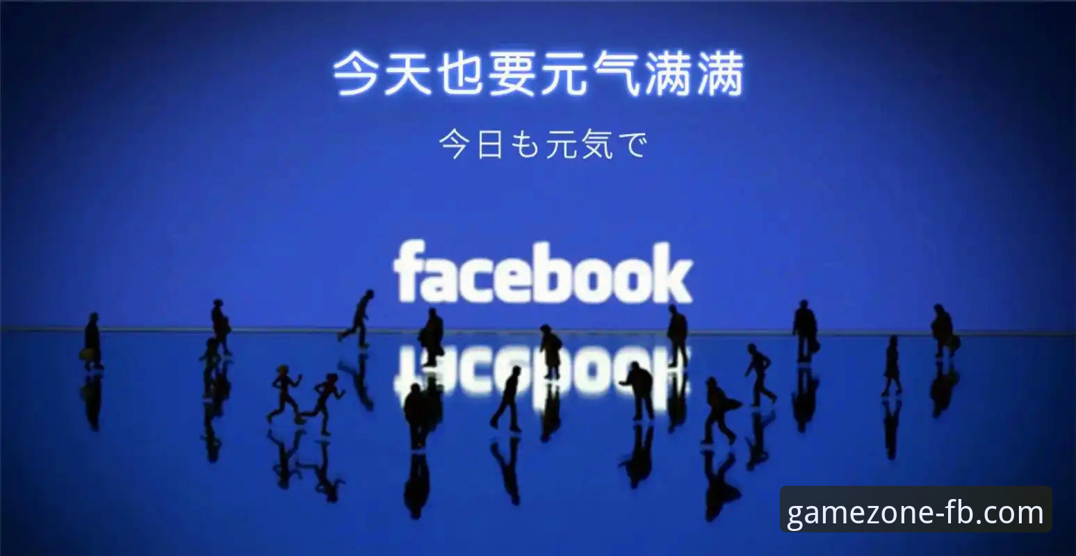 揭秘fb体育官网登录对比：新手必看的三大关键差异